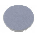 4311.0041; Cap; plastic; grey; push-in; Application: G4311.6131; MENTOR