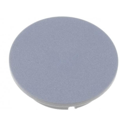 4312.0041; Cap; plastic; grey; push-in; Application: G4312.6131; MENTOR 4312.0041; Cap; plastic; grey; push-in; Application: G4312.6131; MENTOR