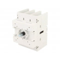 GA100C; Switch-disconnector; Poles: 3; DIN,screw type; 100A; GA; LOVATO ELECTRIC