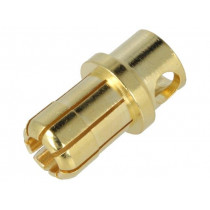 ; Connector: plug; 8mm banana; 80A; 6AWG; 0.15mΩ; AMASS