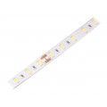 HH-S60F012-5630-24 CW WHITE PCB IP65; LED tape; white cold; 5630; 24V; LED/m: 60; 12mm; IP65; 24W/m; WISVA OPTOELECTRONICS