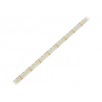 HH-S240F010-3528-24 CW WHITE PCB IP65A; LED tape; white cold; 3528; 24V; LED/m: 240; 10mm; IP65; 16W/m; WISVA OPTOELECTRONICS