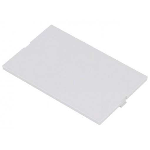 P05040201F.BL; Front panel; without frame,with holder; grey; ITALTRONIC