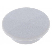 CL1736; Cap; plastic; push-in; grey; Application: K21; CLIFF