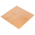 ; Laminate; FR4; 0.6mm; L: 100mm; W: 100mm; Coating: copper; 