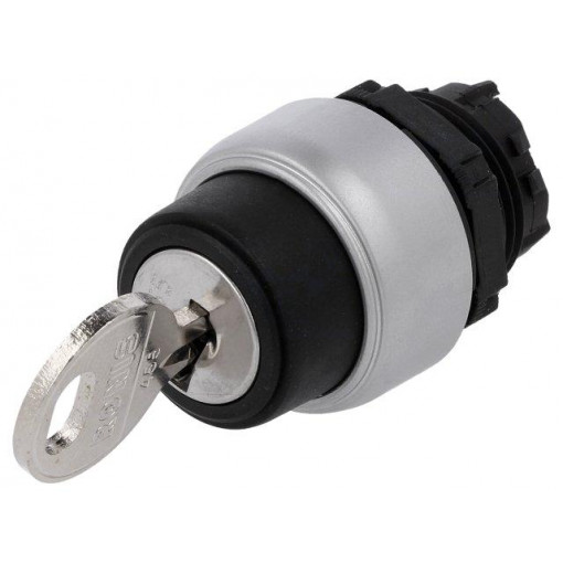 LPCS320; Switch: rotary with key; Stabl.pos: 2; 22mm; black; Illumin: none; LOVATO ELECTRIC