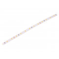 LS-L60-4.8W-2400K24V; LED tape; white warm; 2835; 24V; LED/m: 60; W: 8mm; 120°; IP20; 4.8W/m; LEDDEX LS-L60-4.8W-2400K24V; LED tape; white warm; 2835; 24V; LED/m: 60; W: 8mm; 120°; IP20; 4.8W/m; LEDDEX