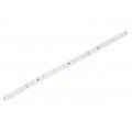 LS-L60-4.8W-2700K24V; LED tape; white warm; 2835; 24V; LED/m: 60; W: 8mm; 120°; IP20; 4.8W/m; LEDDEX LS-L60-4.8W-2700K24V; LED tape; white warm; 2835; 24V; LED/m: 60; W: 8mm; 120°; IP20; 4.8W/m; LEDDEX