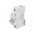 MCN120E; Circuit breaker; 230VAC; Inom: 20A; Poles: 1; DIN; Charact: C; 6kA; HAGER