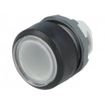 1SFA611100R1108; Switch: push-button; Stabl.pos: 1; 22mm; transparent; IP66; Pos: 2; ABB