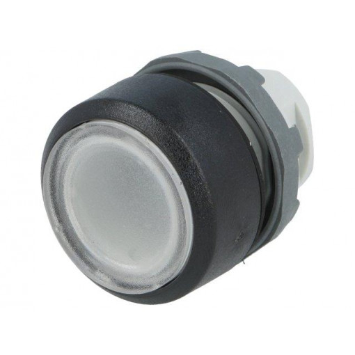 1SFA611100R1108; Switch: push-button; Stabl.pos: 1; 22mm; transparent; IP66; Pos: 2; ABB