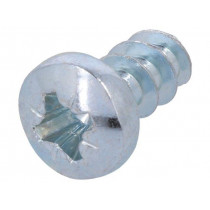 MSM PT 5X10; Screw; 10mm; Thread: 5; FIBOX