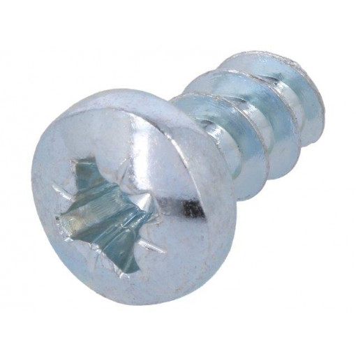 MSM PT 5X10; Screw; 10mm; Thread: 5; FIBOX