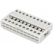 N1610; Plug; IDC; female; PIN: 10; IDC; THT; 2.54mm; tinned; Layout: 1x10; TOMIC