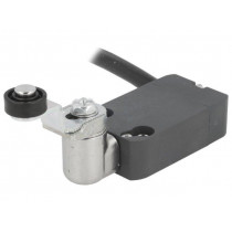 NF B112KD-DN2; Limit switch; lever R 33mm, plastic roller Ø14mm; NO + NC; IP67; PIZZATO ELETTRICA