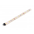 OPWH2835-6012EP; LED tape; white cold; 2835; 12V; LED/m: 60; W: 10mm; 120°; 14.4W/m; OPTOFLASH