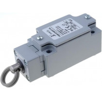 PBM1E99PZ11A; Limit switch; ring; NO + NC; 10A; max.240VAC; max.250VDC; PG13,5; POKÓJ