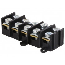 E.4005A; Terminal block; screw terminal; 10mm2; 57A; ways: 5; terminals: 10; PAWBOL