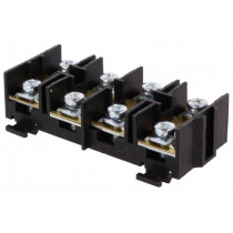 E.4006A; Terminal block; screw terminal; 16mm2; 76A; ways: 4; terminals: 8; PAWBOL