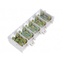 E.4029; Terminal block; screw terminal; 25mm2; 101A; ways: 5; Colour: grey; PAWBOL