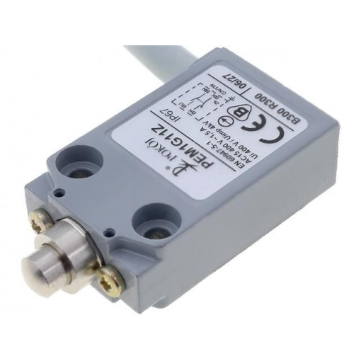 PEM1G11Z; Limit switch; pin plunger Ø8mm; NO + NC; 5A; max.240VAC; lead 1m; POKÓJ