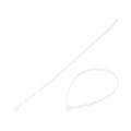 PLT3S-C; Cable tie; L: 292mm; W: 4.8mm; polyamide; 222N; natural; Ømax: 76mm; PANDUIT PLT3S-C; Cable tie; L: 292mm; W: 4.8mm; polyamide; 222N; natural; Ømax: 76mm; PANDUIT