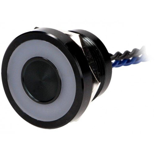 PS225P10Y21B12VL; Switch: piezoelectric; Pos: 2; SPST-NO; 0.2A/24VAC; 0.2A/24VDC; ONPOW