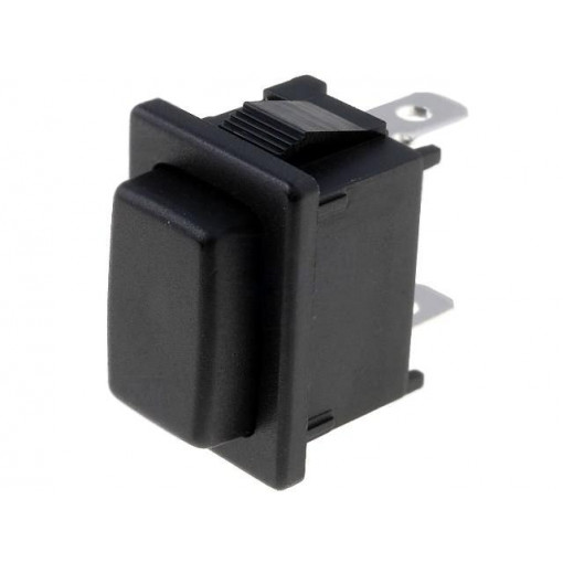 R13-516A-02; Switch: push-button; Pos: 2; SPST-NO; 6A/250VAC; OFF-(ON); UL94V-2; SCI