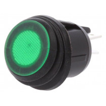 R13-244B8-02-BBG; ROCKER; DPST; Pos: 2; OFF-ON; 20A/12VDC; green; IP65; LED 12VDC; 50mΩ; SCI