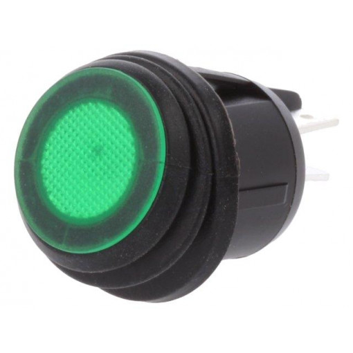 R13-244B8-02-BBG; ROCKER; DPST; Pos: 2; OFF-ON; 20A/12VDC; green; IP65; LED 12VDC; 50mΩ; SCI