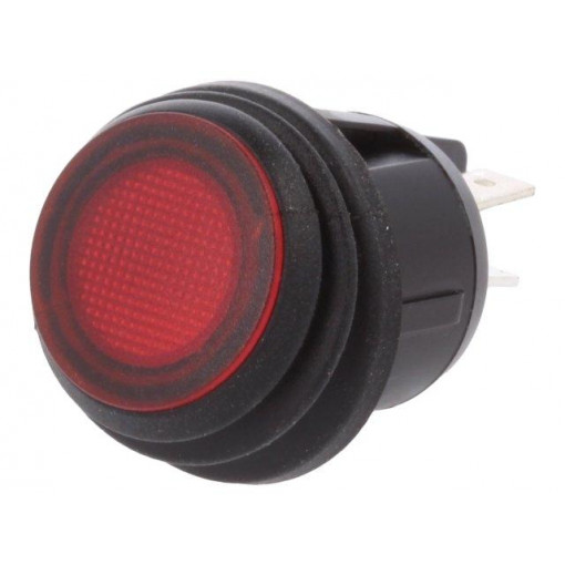 R13-244B8-02-BBR; ROCKER; DPST; Pos: 2; OFF-ON; 20A/12VDC; red; IP65; LED 12VDC; 50mΩ; SCI