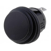 R13-112A8-02-BB; ROCKER; SPST; Pos: 2; OFF-ON; 10A/250VAC; black; IP65; none; 50mΩ; SCI