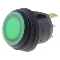 R13-112B8W-02-BGNN-0A-L2; ROCKER; SPST; Pos: 2; OFF-ON; 10A/28VDC; green; IP65; LED 24VDC; 50mΩ; SCI