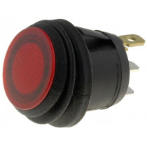 R13-527B2L-02-BR-N-2; Switch: push-button; Pos: 2; DPST-NO; 6A/250VAC; OFF-ON; red; IP65; SCI