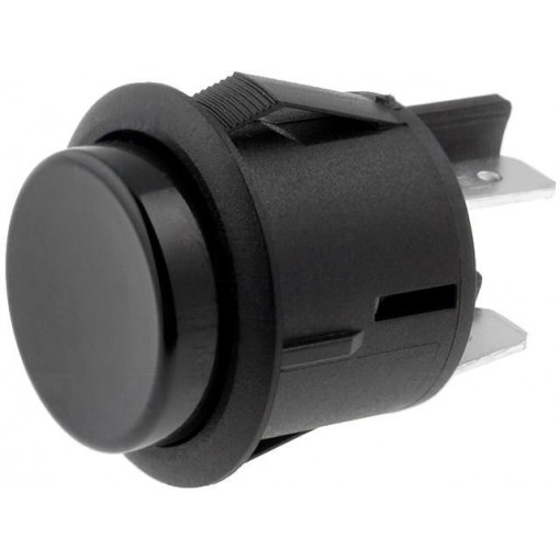 R13-541A-01-BR; Switch: push-button; Pos: 2; DPST-NO; 16A/250VAC; OFF-(ON); 1.5kV; SCI