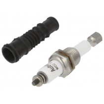 RM79696006; Electrode; Mat: stainless steel; SCHNEIDER ELECTRIC