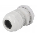 RNMG25X1.5L; Cable gland; with long thread; M25; IP65; Mat: polyamide; grey; RAYCHEM RPG