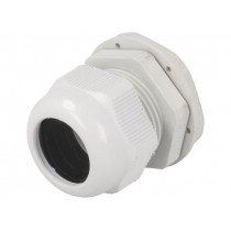 RNMG40X1.5; Cable gland; M40; IP65; Mat: polyamide; grey; RAYCHEM RPG