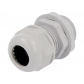 RNPG-16; Cable gland; PG16; IP65; Mat: polyamide; grey; RAYCHEM RPG