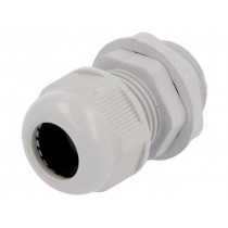 RNPG-16; Cable gland; PG16; IP65; Mat: polyamide; grey; RAYCHEM RPG