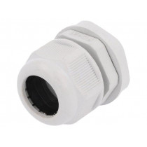 RNPG-21; Cable gland; PG21; IP65; Mat: polyamide; grey; RAYCHEM RPG