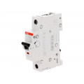 2CDS251001R0325; Circuit breaker; 230VAC; Inom: 32A; Poles: 1; DIN; Charact: B; 6kA; ABB
