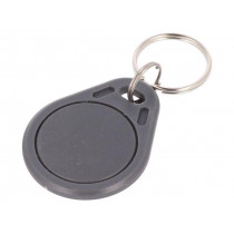 S203-GY; RFID pendant; ISO 11784/5,T5577; grey; 125kHz; Mat: plastic; 4g; 