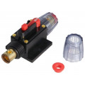 ; Fuse: automatic; automotive; 80A; black; 12÷48VDC; 4.2x10x4.2mm; 4CARMEDIA