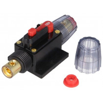 ; Fuse: automatic; automotive; 100A; black; 12÷48VDC; 4.2x10x4.2mm; 4CARMEDIA