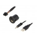C0004-USB; USB/AUX adapter; Fiat; USB A socket,Jack 3,5mm 4pin socket; PER.PIC.