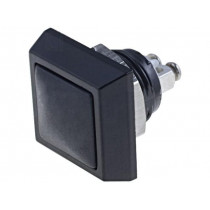 ; Switch: vandal resistant; Pos: 2; SPST-NO; 2A/36VDC; IP65; OFF-(ON); ONPOW