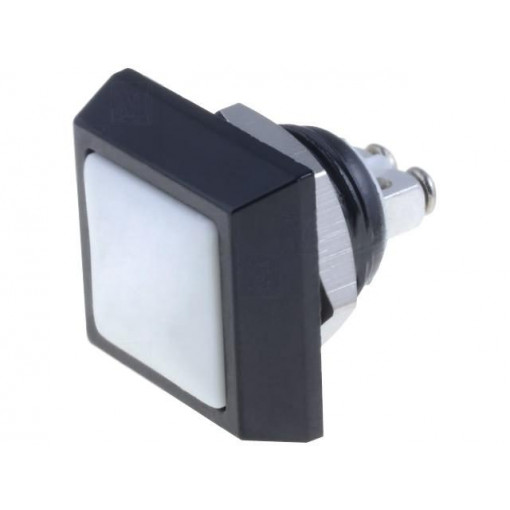 ; Switch: vandal resistant; Pos: 2; SPST-NO; 2A/36VDC; IP65; OFF-(ON); ONPOW