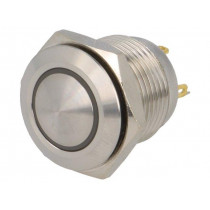 V16-10N-24W-S; Switch: vandal resistant; Pos: 2; SPST-NO; 2A/36VDC; IP65; OFF-(ON); ONPOW