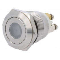 ; Switch: vandal resistant; Pos: 2; SPST-NO; 0.5A/220VAC; 2A/36VDC; ONPOW